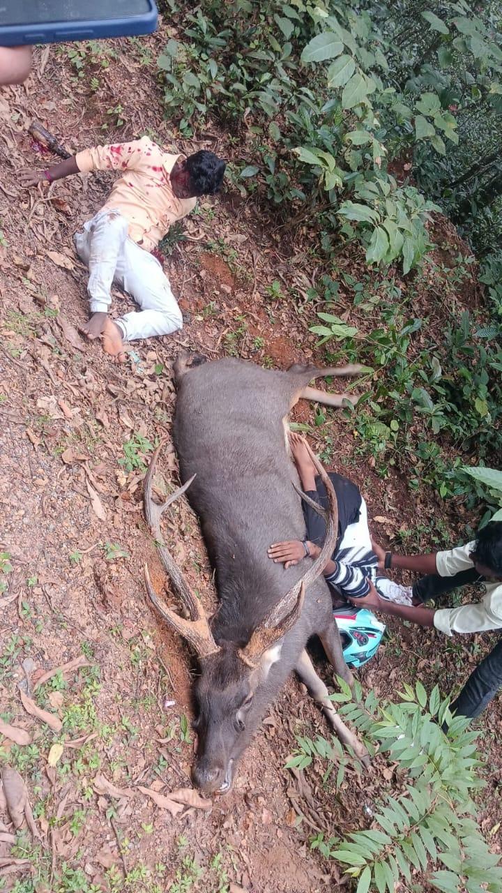 Kundapur: Youth dies after bike hits deer, pillion rider seriously injured