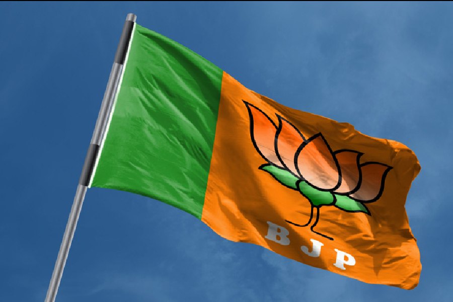 Karnataka polls: BJP fails to win even one seat reserved for ST