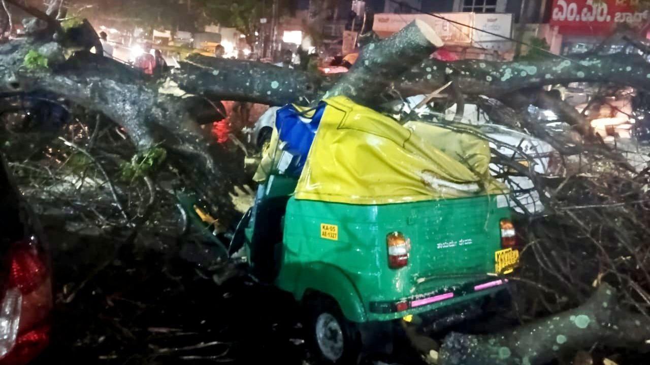 Auto-rickshaw driver dies after tree falls during rain in Bengaluru