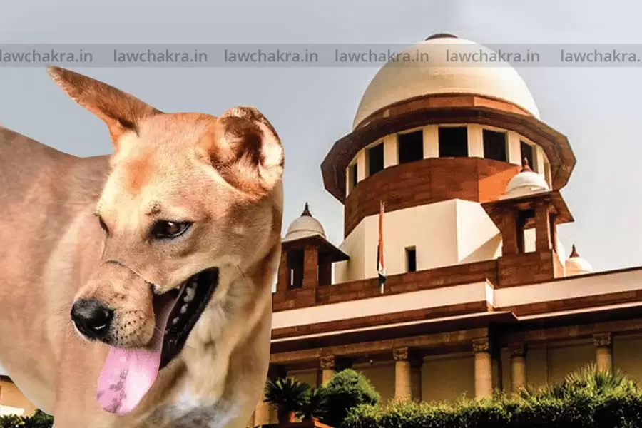Supreme Court takes suo motu cognizance of rabies death after dog bite report